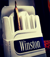 Winston آواتار ها